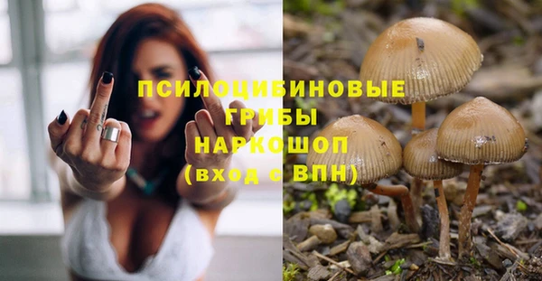 spice Абдулино